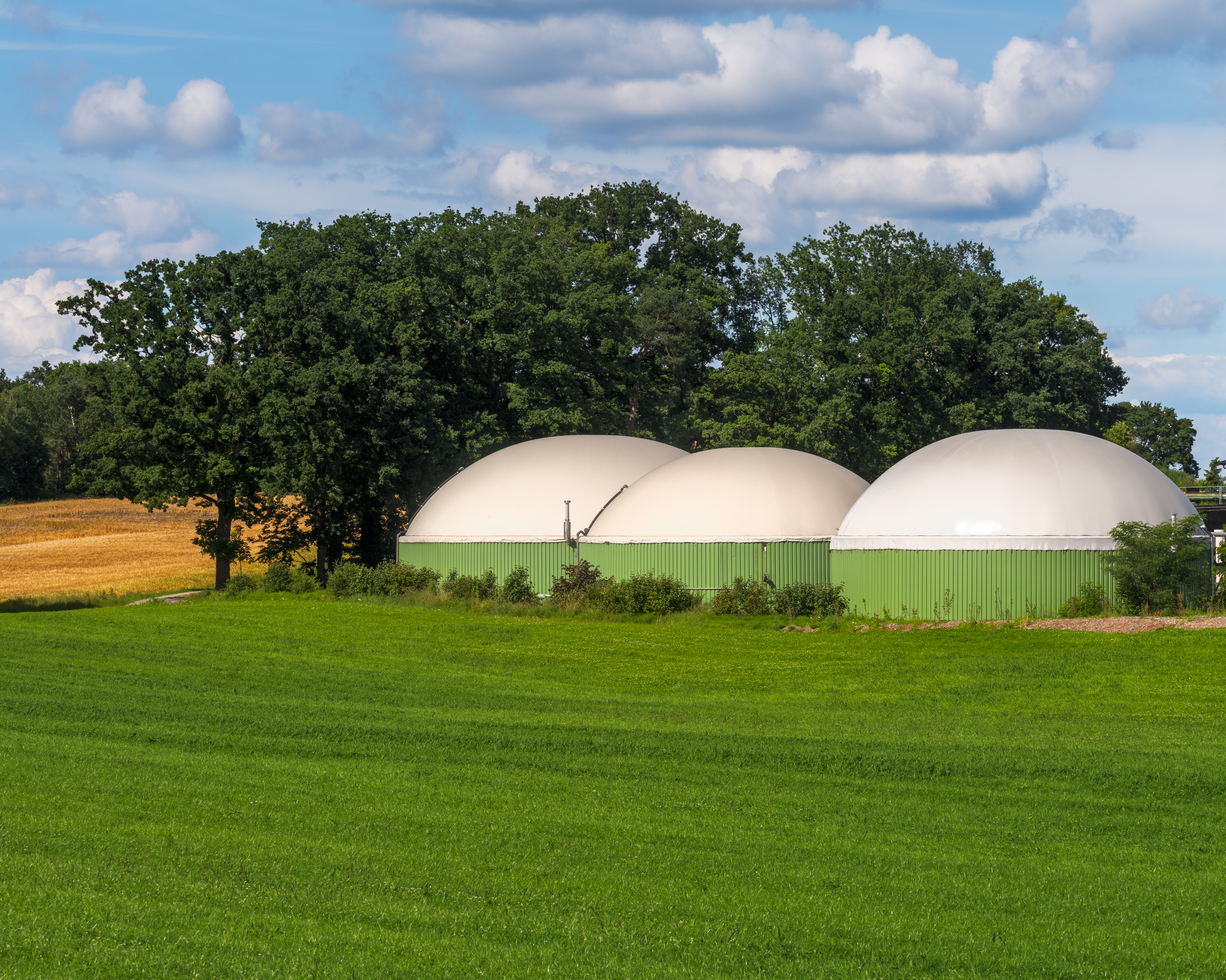 Facility for bio energy production